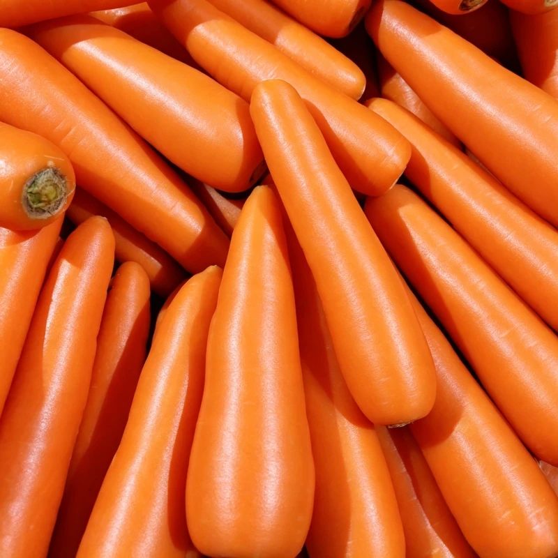 Fresh Carrot