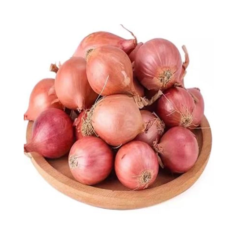 Fresh Shallot