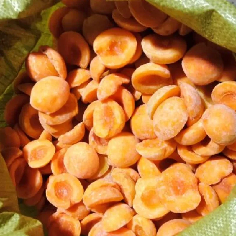 Frozen Apricot Slice