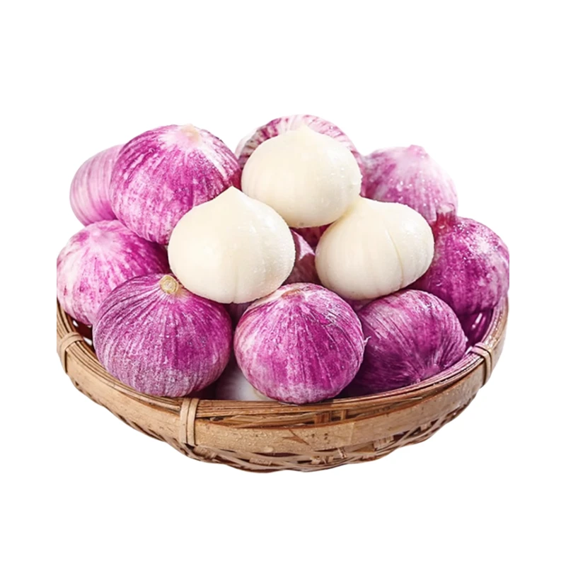 Solo Garlic