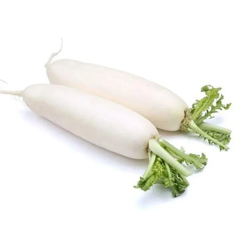 White Radish