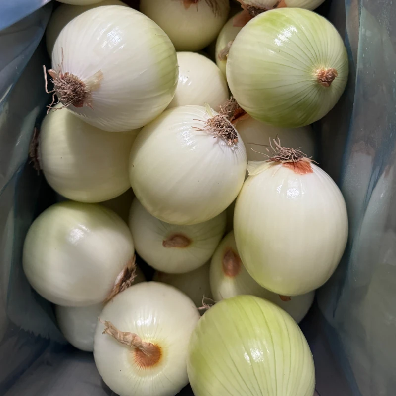 Fresh Peeled Onion
