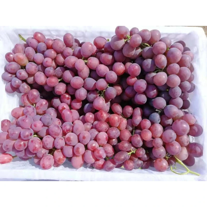 Fresh Grape